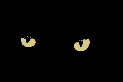 Ojos de un gato negro